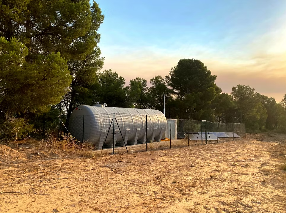 Viñedo de Lainar en Requena